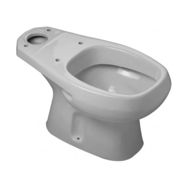 Inodoro Largo Roca Linea Monaco